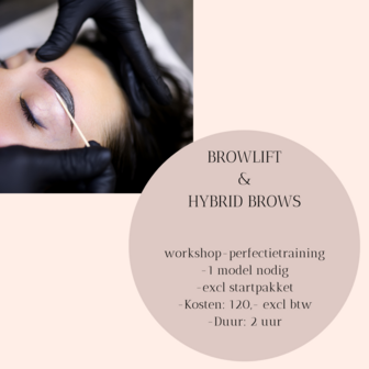 cursus browlift hybrid brows tilburg